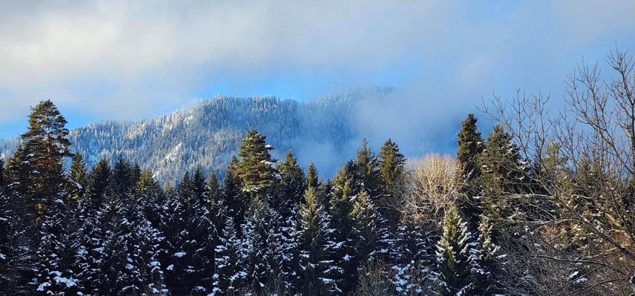 Mountain Resort Gantiadi بورجومي المظهر الخارجي الصورة